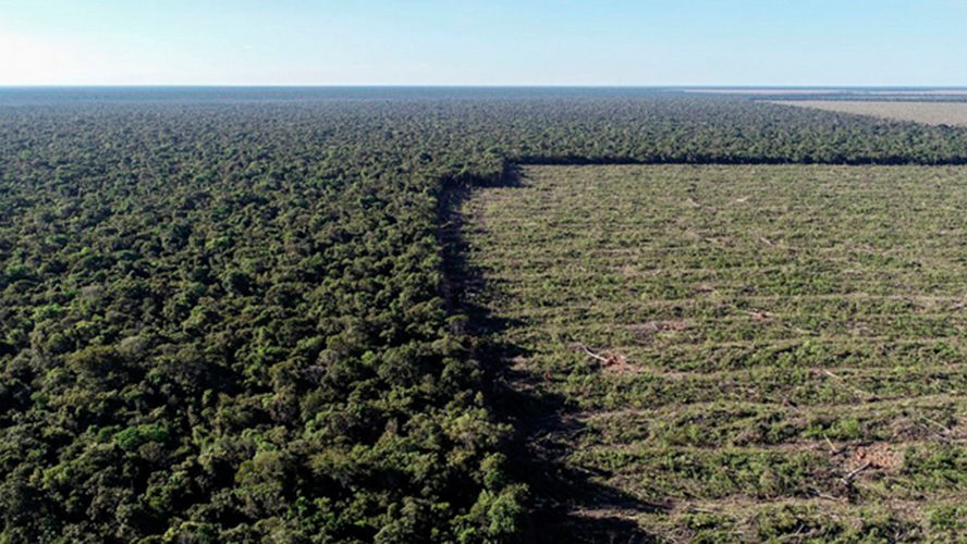 Resultado de imagem para Desmatamento na Amazônia cresce 104% em novembro