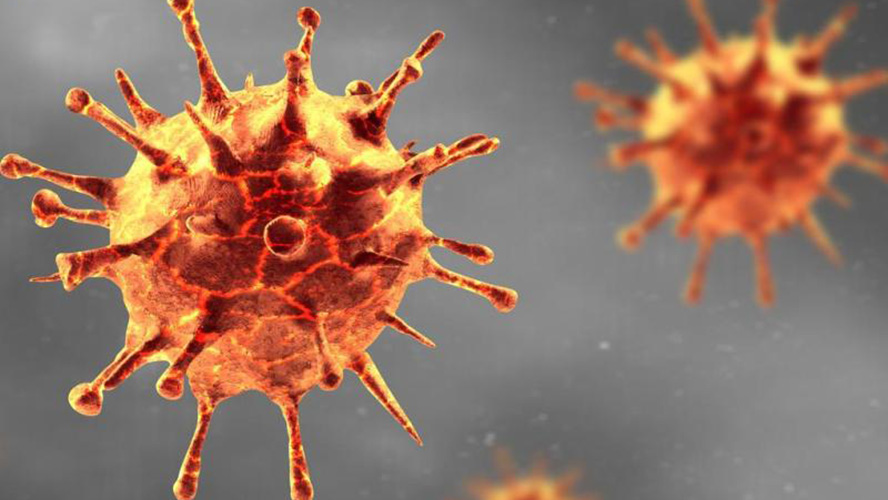 Um estudo da Sars-CoV-2 estimou que a taxa mais alta de transmissão viral acontece alguns dias antes dos sintomas aparecerem