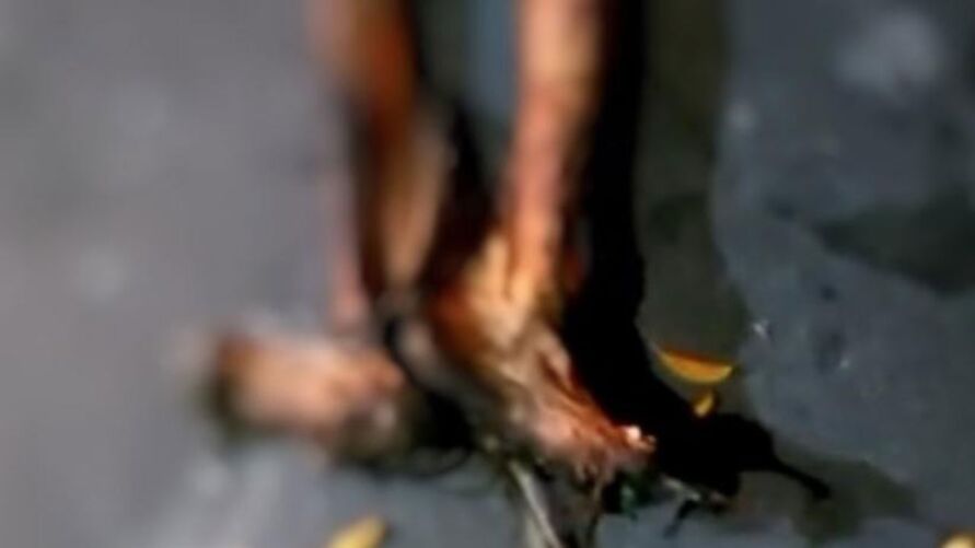 Em vídeo, homem que desenterrou avó em Manaus revela o que iria fazer com cadáver.