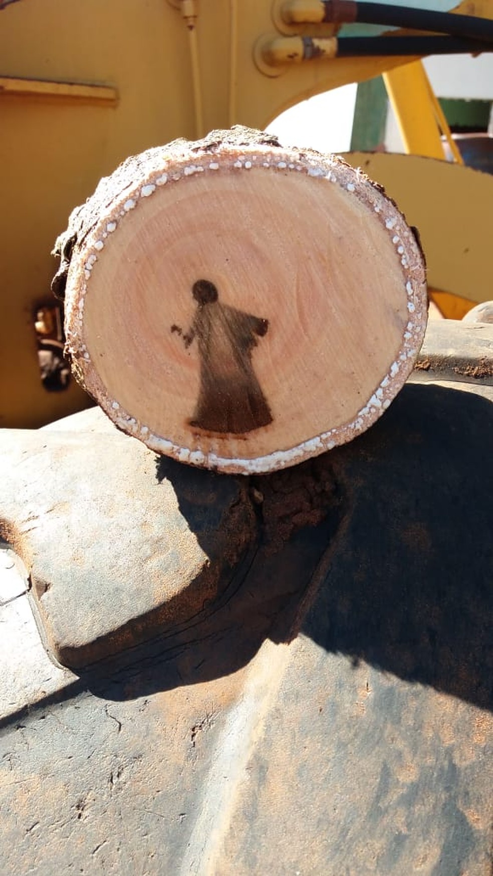 Diretor de obras mostra tronco que mostrou imagem de 'Jesus'